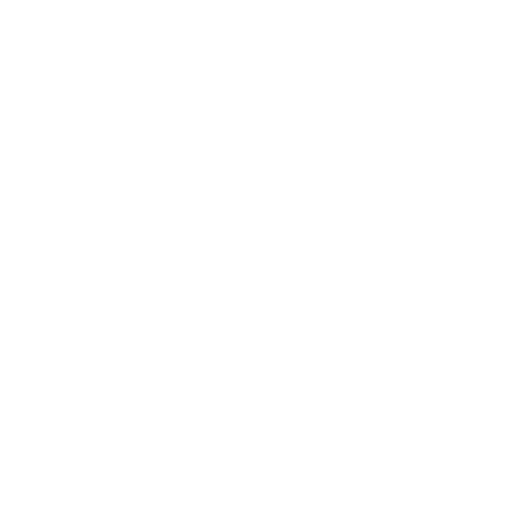 Soy Aromas