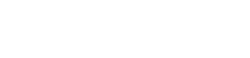 Vassallo Strategic Consultants